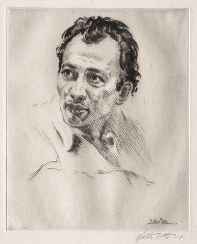 Henri Caro-Delvaille, nro 2 tekijältä Walter Tittle