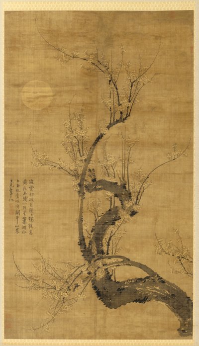 Prunus kuunvalossa tekijältä Wang Mian