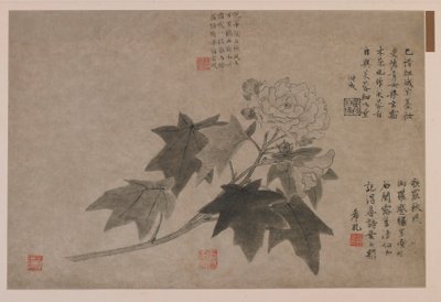 Hibiscus, 1347. tekijältä Wang Yuan