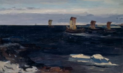 Tutkimusmatka / Krajnew tekijältä Wassili Wassiljewitsch Krajnew