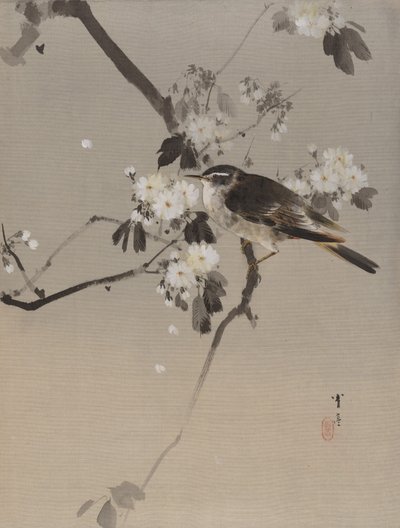 Linnut kukkivalla oksalla, n. 1887. tekijältä Watanabe Seitei