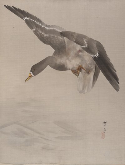 Ankka, n. 1887. tekijältä Watanabe Seitei