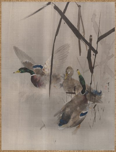 Ducks in the Rushes, n. 1887. tekijältä Watanabe Seitei