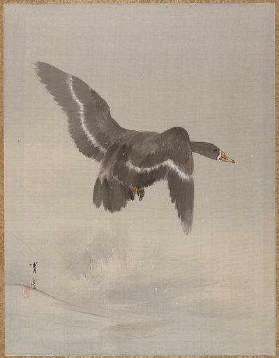 Lentävä hanhi, n. 1887. tekijältä Watanabe Seitei