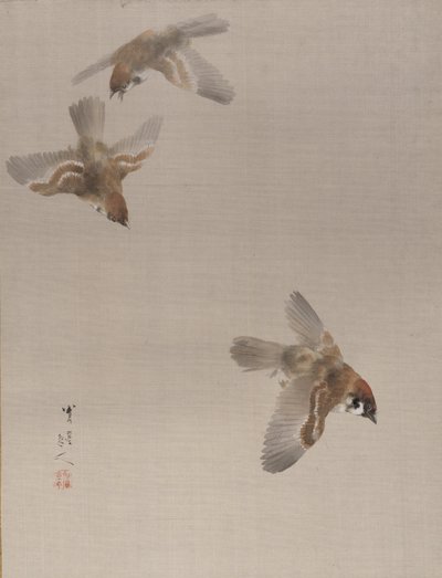 Sparrows Flying, n. 1887. tekijältä Watanabe Seitei