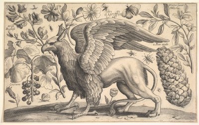 Griffin, 1625-77. tekijältä Wenceslaus Hollar