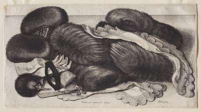  tekijältä Wenceslaus Hollar