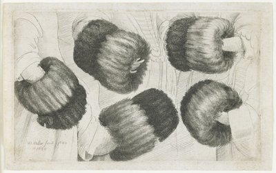 Muff viidessä kuvassa, 1645-1646 tekijältä Wenceslaus Hollar
