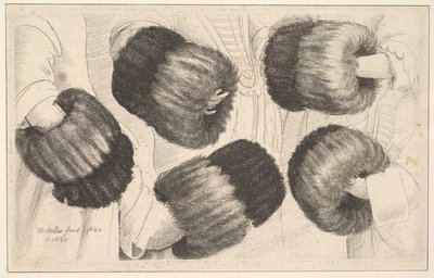 Muff in Five Views, 1645-46. tekijältä Wenceslaus Hollar