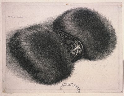Suuri muhvi brokaattinauhalla, 1647 tekijältä Wenceslaus Hollar