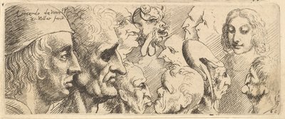 Erilaisia päitä, 1625-77. tekijältä Wenceslaus Hollar