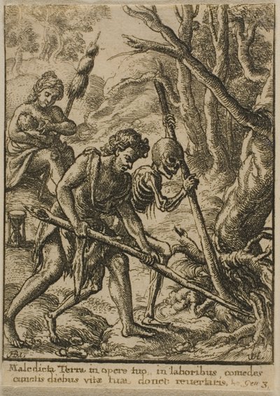 Adam Plowing tekijältä Wenceslaus Hollar