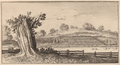 Albury tekijältä Wenceslaus Hollar