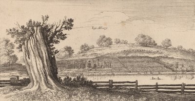 Albury, 1645. tekijältä Wenceslaus Hollar