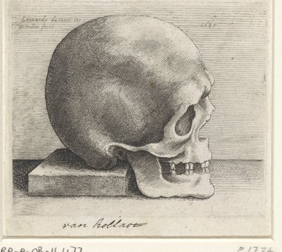 Kallon anatominen tutkimus tekijältä Wenceslaus Hollar