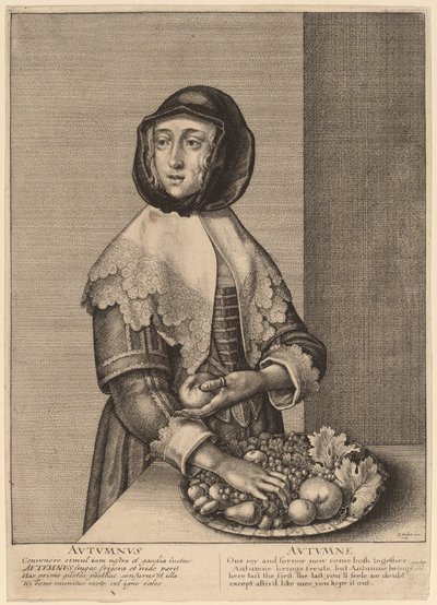 Syksy tekijältä Wenceslaus Hollar