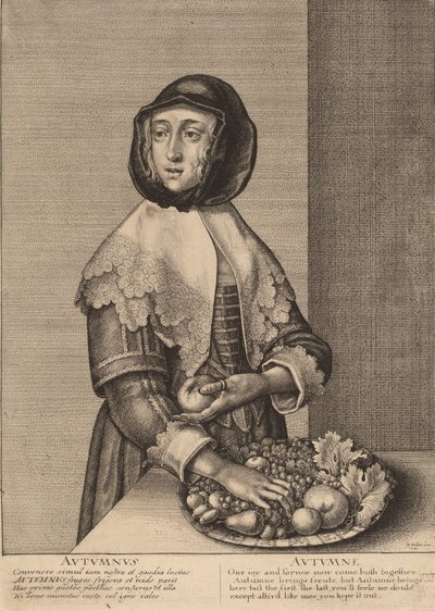 Syksy, 1641. tekijältä Wenceslaus Hollar