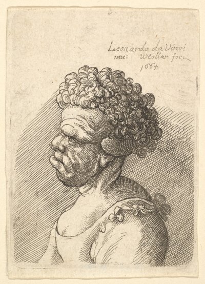 Epämuodostun naisen rintakuva kiharat hiukset vasemmalla, 1665. tekijältä Wenceslaus Hollar