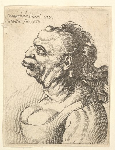 Naisen rintakuva matalassa mekossa, ulkonevat huulet, kasvua otsassa, promi..., 1660. tekijältä Wenceslaus Hollar
