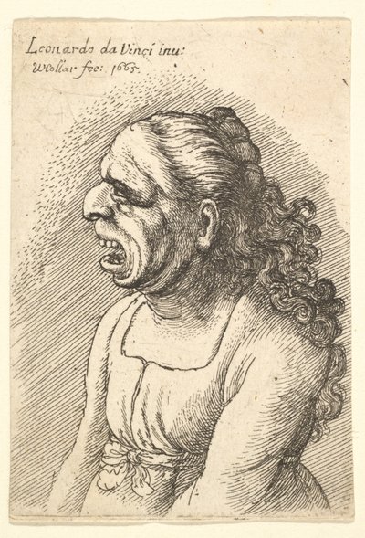 Naisen rintakuva, jolla on suu auki ja pitkät kiharat hiukset, jotka putoavat harteilleen, yllään..., 1665. tekijältä Wenceslaus Hollar