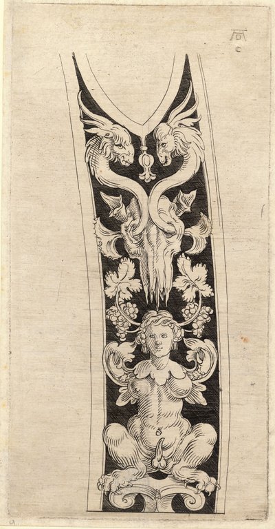 Sapelin malli Albrecht Durerin piirustuksen mukaan. tekijältä Wenceslaus Hollar