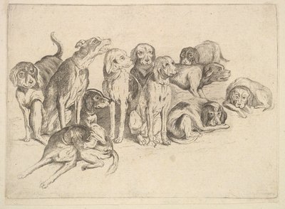 Yksitoista koiraa, 1625-77. tekijältä Wenceslaus Hollar