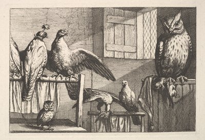 Haukat ja pöllöt, 1625-77. tekijältä Wenceslaus Hollar