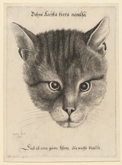  tekijältä Wenceslaus Hollar