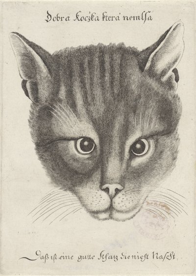 Kissan pää tekijältä Wenceslaus Hollar