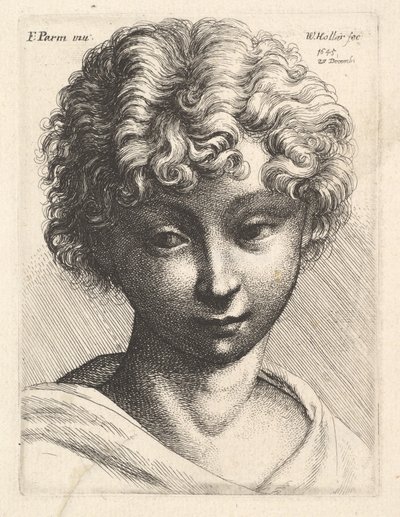 Nuoren tytön pää, 1645. tekijältä Wenceslaus Hollar