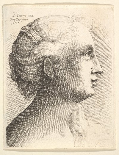 Nuoren naisen pää profiilissa oikealla, 1645. tekijältä Wenceslaus Hollar