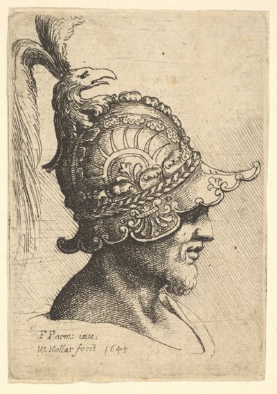 Kypäräpää ja Birds Head Crest, 1645. tekijältä Wenceslaus Hollar