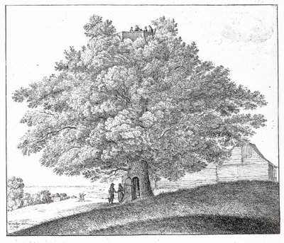 Ontto puu Hampsteadissa, 1663 tekijältä Wenceslaus Hollar
