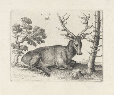 Makaava peura, oikealle tekijältä Wenceslaus Hollar