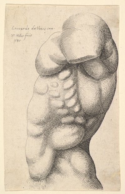 Miesten vartalo kaulasta lantioon profiilissa vasemmalle, 1645. tekijältä Wenceslaus Hollar