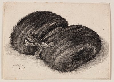 Tumma turkismuffi, jossa on rusettinauha tekijältä Wenceslaus Hollar