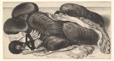  tekijältä Wenceslaus Hollar