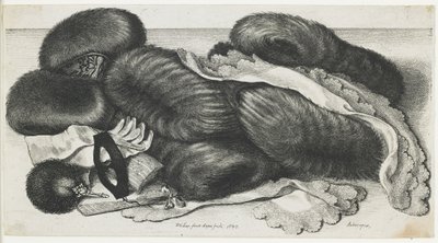 Muhvit ja vaatekappaleet pöydällä, 1647 tekijältä Wenceslaus Hollar