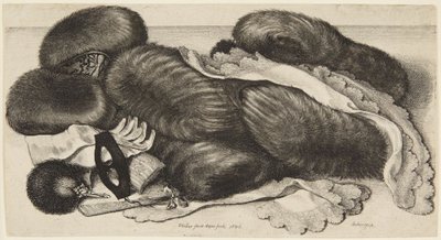Puuhkat ja koristeet tekijältä Wenceslaus Hollar
