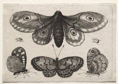  tekijältä Wenceslaus Hollar