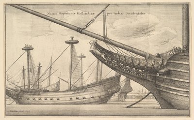 Hollantilainen Länsi-Intialainen, 1647 tekijältä Wenceslaus Hollar