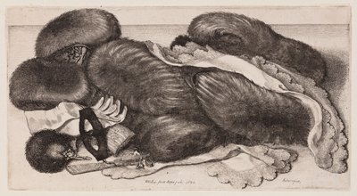 Asetelma muhveista, käsineistä ja kaulaliinoista tekijältä Wenceslaus Hollar