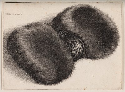  tekijältä Wenceslaus Hollar
