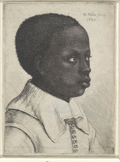 Mustan pojan muotokuva, 1645 tekijältä Wenceslaus Hollar