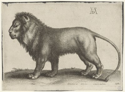 seisova leijona tekijältä Wenceslaus Hollar