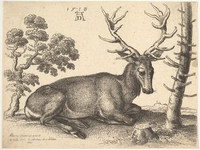 Hirvi makaa oikealla, 1649. tekijältä Wenceslaus Hollar