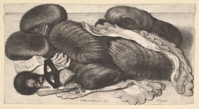 Asetelma, jossa on joukko muffeja, hansikkaat, viuhkat, naamio ja kaksi huivia, 1647. tekijältä Wenceslaus Hollar