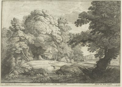Silta vesiputouksen yli tekijältä Wenceslaus Hollar