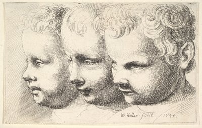 Kolmen lapsen päät tekijältä Wenceslaus Hollar