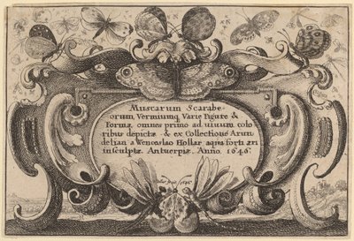 Nimilehti tekijältä Wenceslaus Hollar